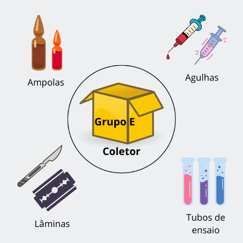 Grupo E